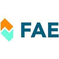 Fae 77200 - SONDA LAMBDA